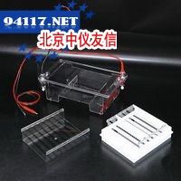 DYCP-31E型 琼脂糖水平电泳仪(槽)(中号)